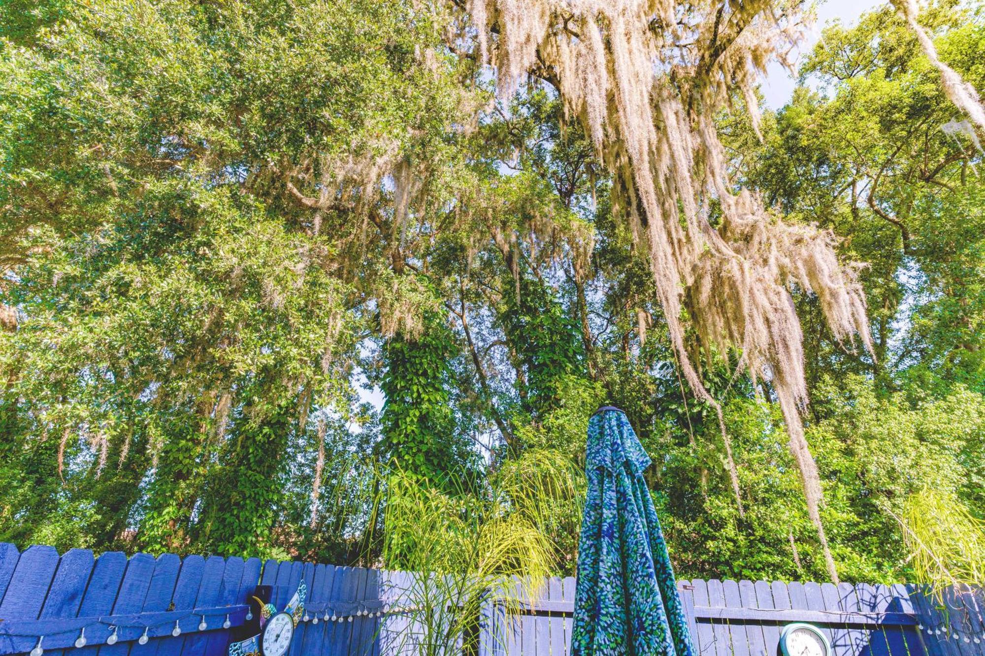 Отель The Estate At Mt Dora Маунт-Дора Экстерьер фото
